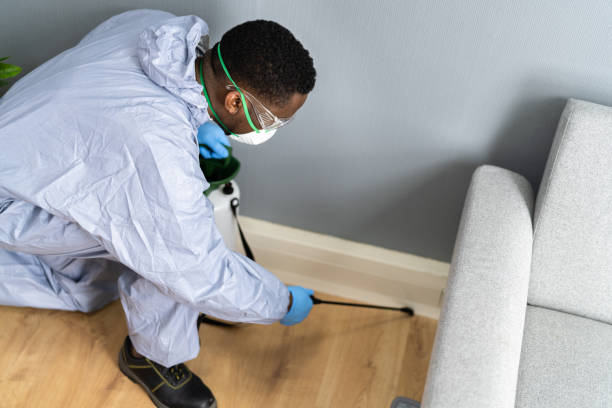 Best Pest Prevention Services  in Latham, NY